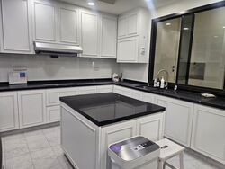 Four Seasons Park (D10), Condominium #595187861